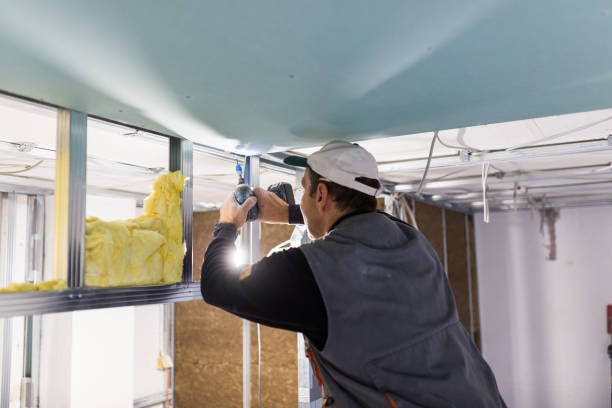 Best Blown-in Insulation in Many, LA