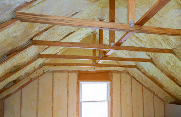 Best Insulation Maintenance and Repair in Many, LA