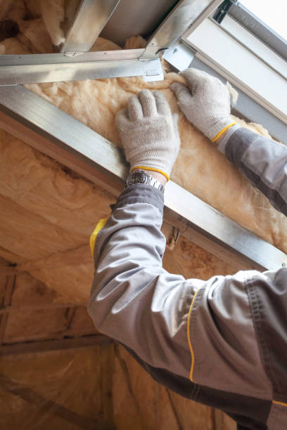 Best Residential Insulation in Many, LA