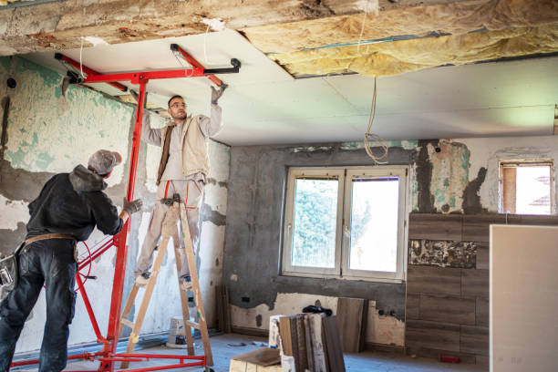 Best Insulation Maintenance and Repair in Many, LA