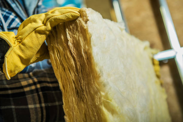 Best Insulation Maintenance and Repair in Many, LA